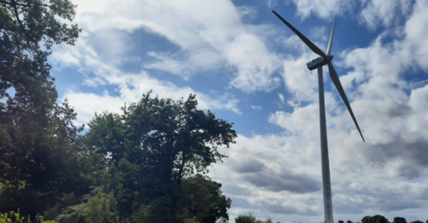 éolienne dans paysage bocager